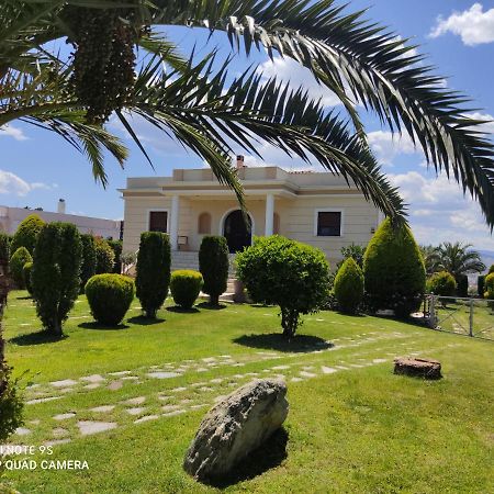 Luxury Villa Thea Volos Exterior foto