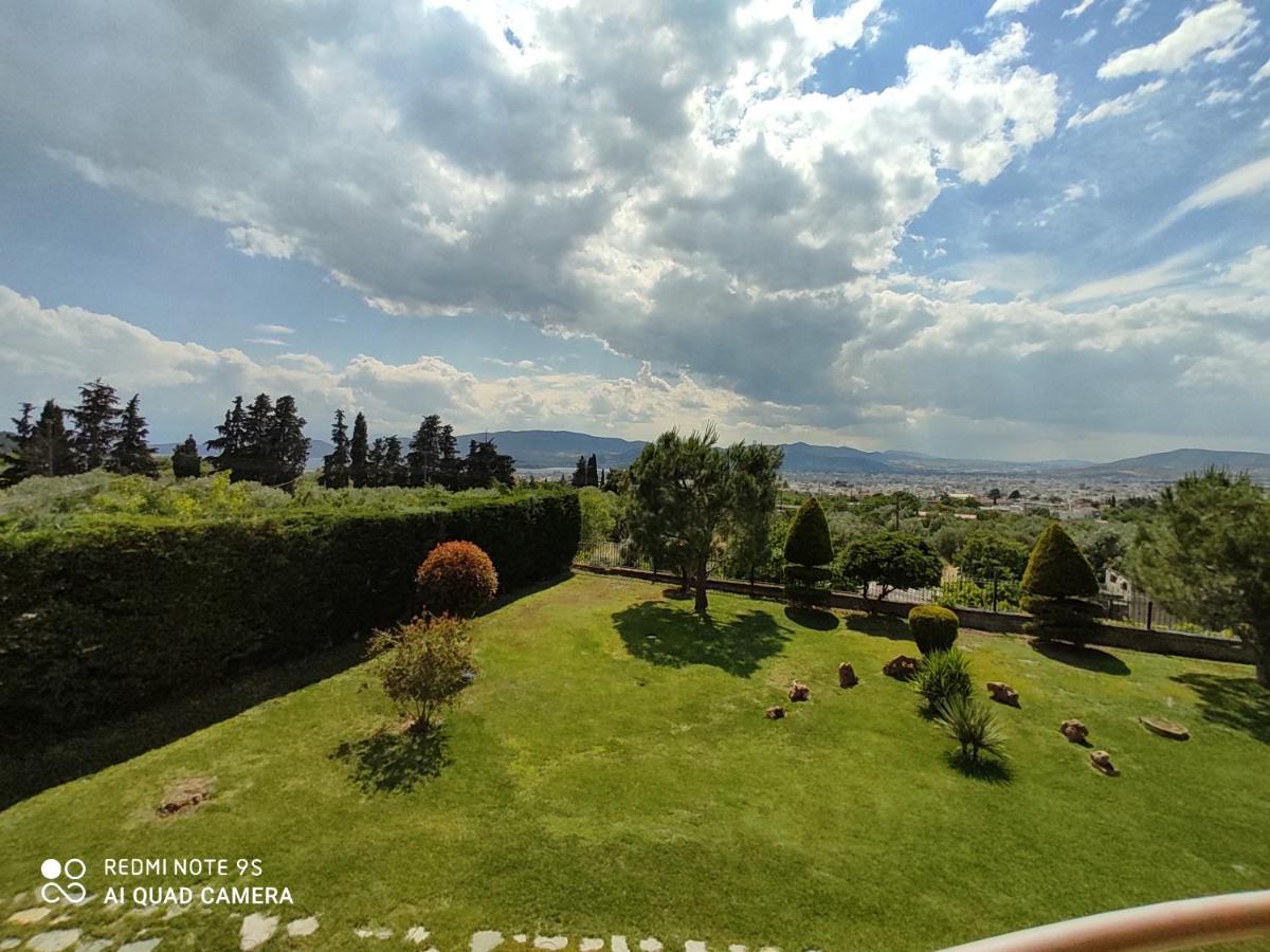 Luxury Villa Thea Volos Exterior foto