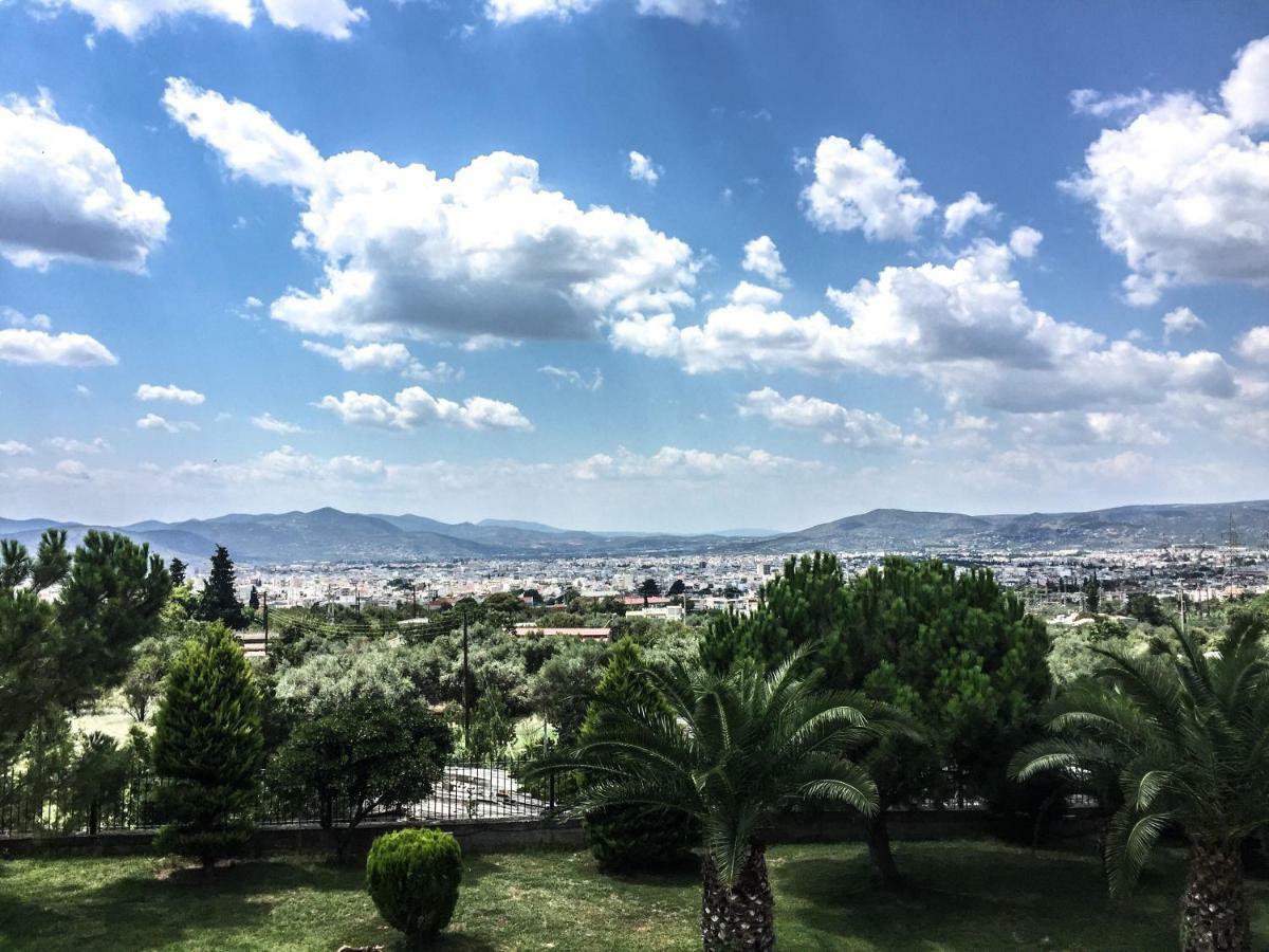 Luxury Villa Thea Volos Exterior foto